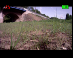 vlcsnap-2012-05-17-23h52m56s184.png