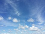 20150427_125338.jpg