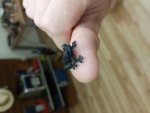 20150806_211249.jpg